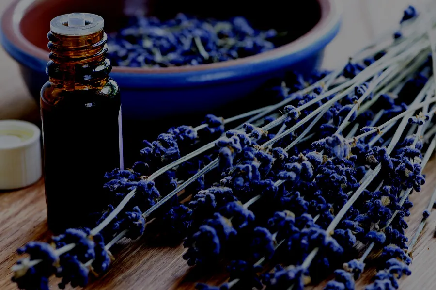 Essential Oils Company Monthly SEO Sessions Up 1,404% Per Year