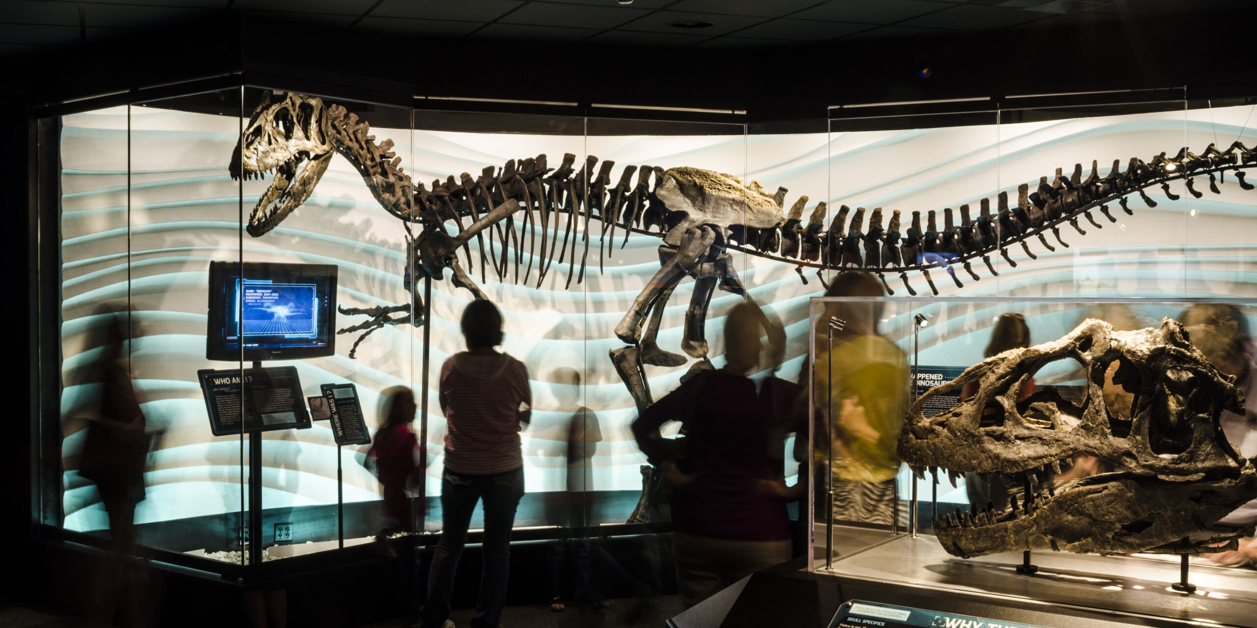 exhibit-allosaurus case study for ppc marketing a faith-based attraction